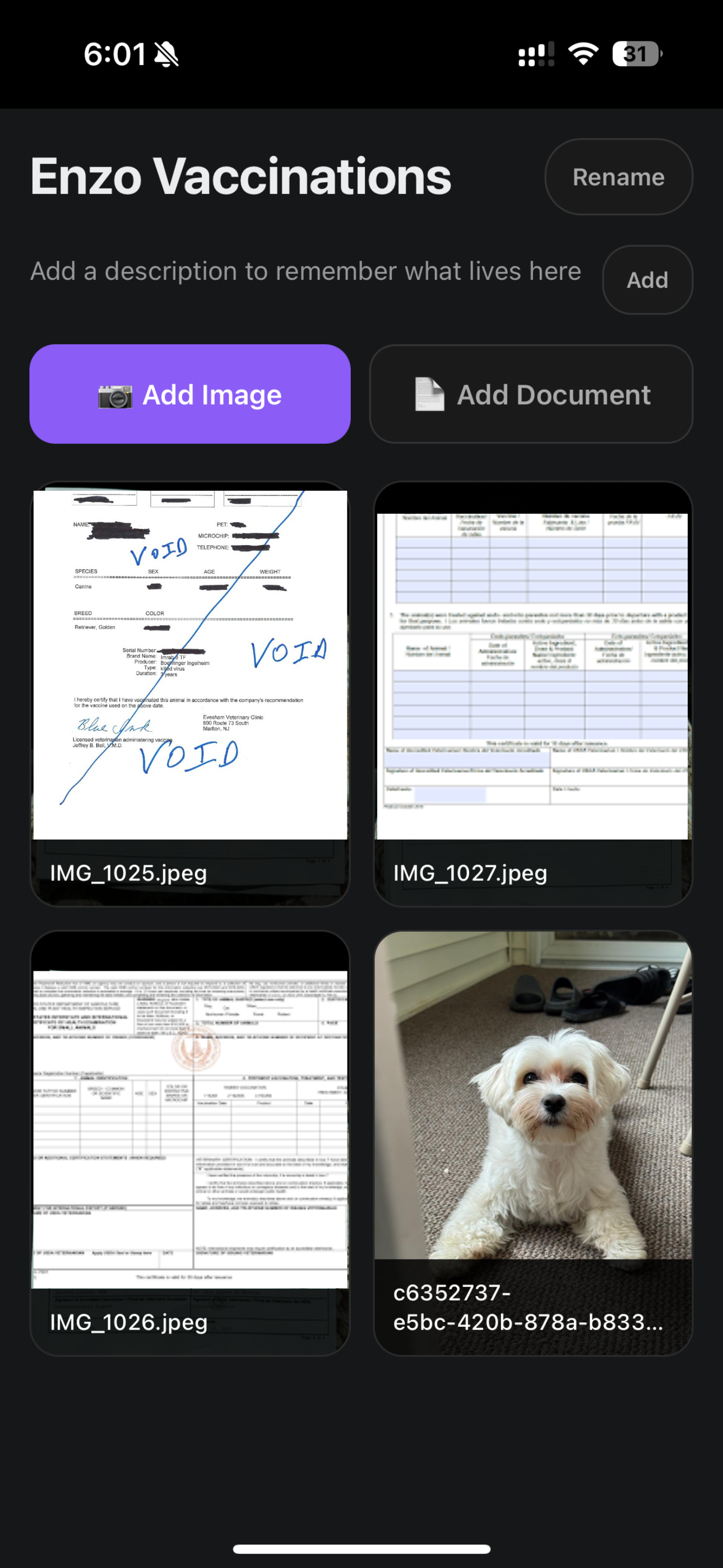 Inside a folder showing vaccination documents and pet photos